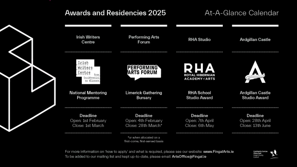 Range of artist awards and residencies available in Fingal announced for 2025